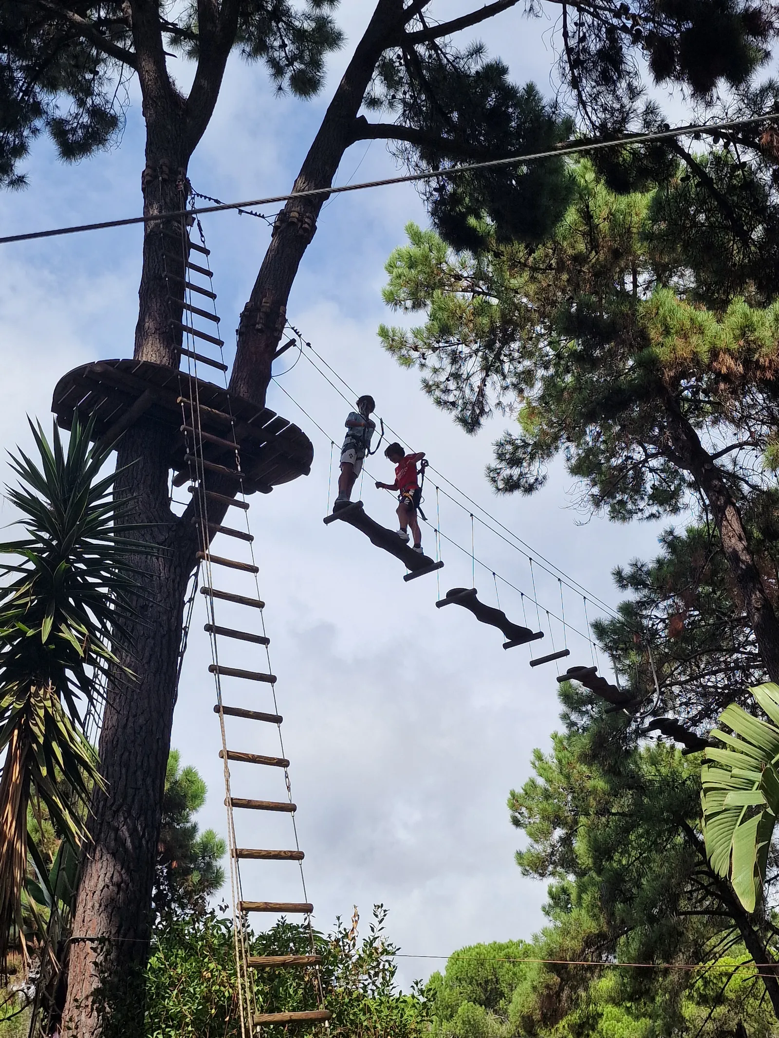 Aventura Amazonia Marbella gallery 3