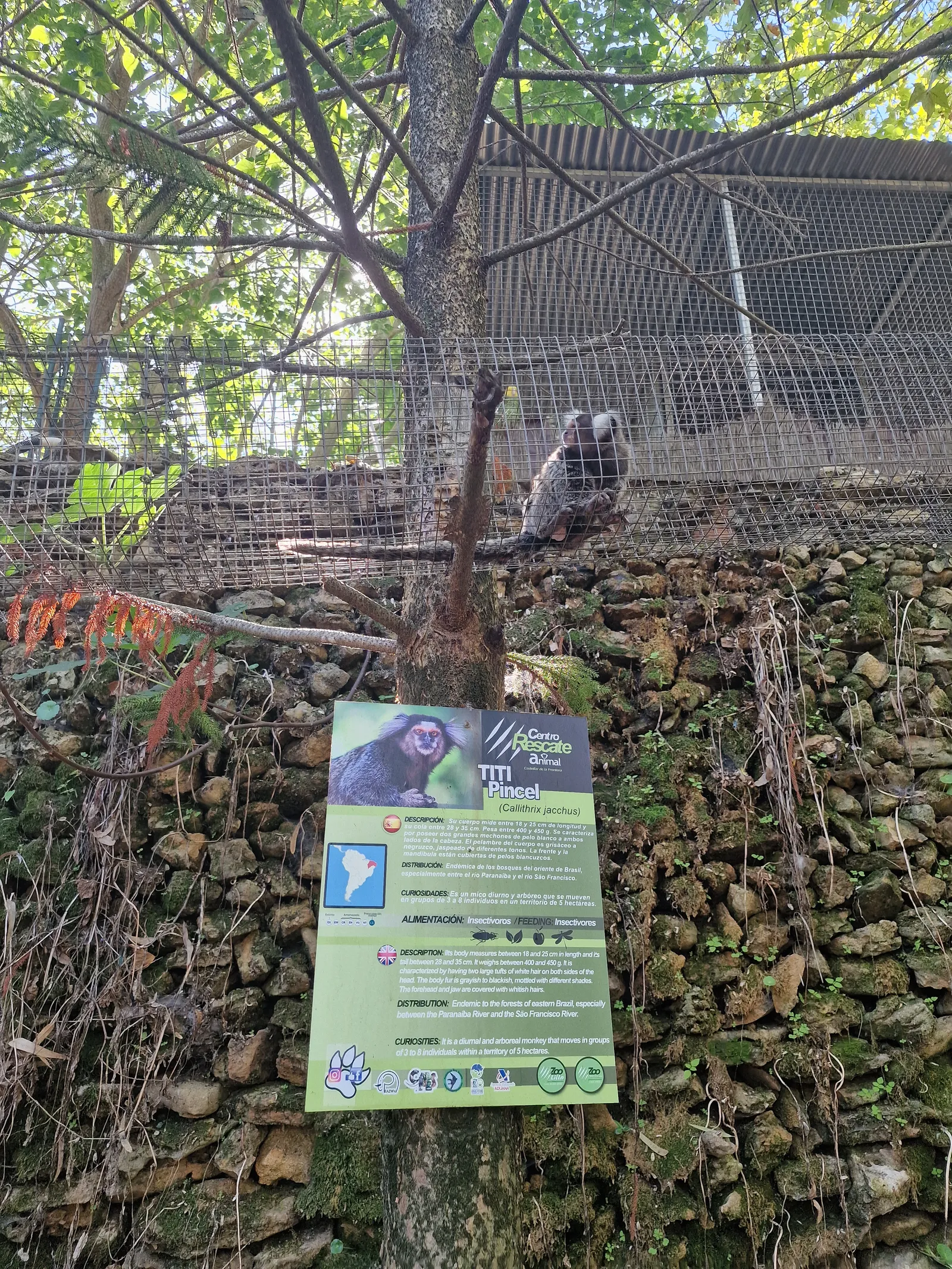 Zoo de Castellar gallery 3