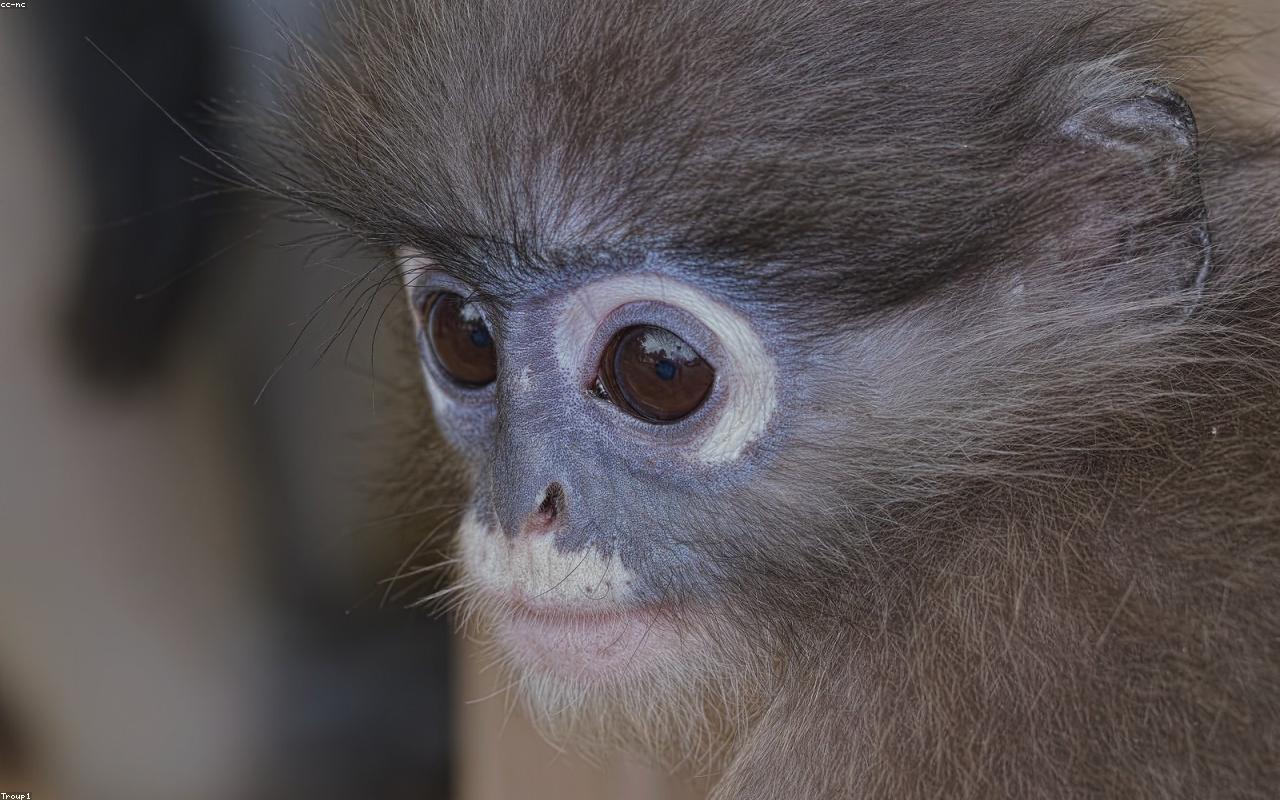 Biopark Zoo gallery 4