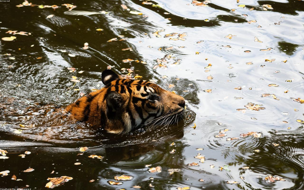 Biopark Zoo gallery 2
