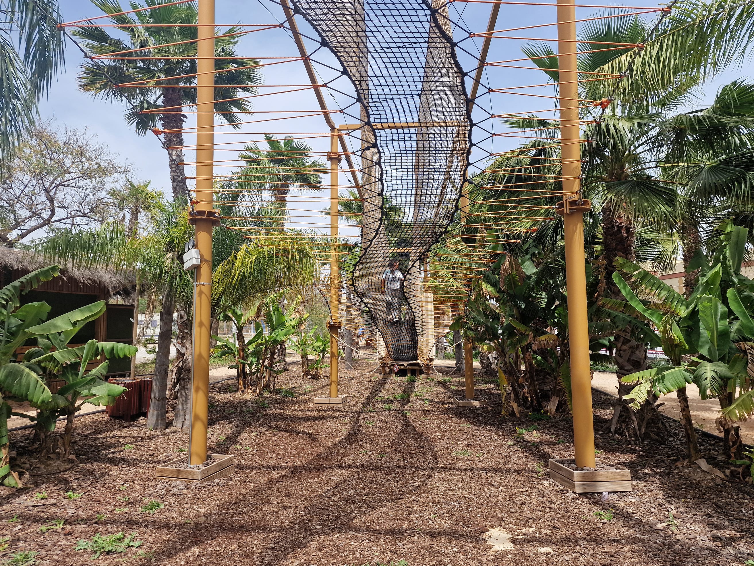 High-rope adventure course winding through palm trees at Jungle Family, Málaga